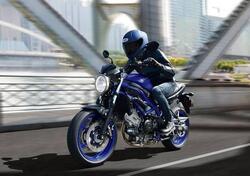 Suzuki SV650 (2025) nuova