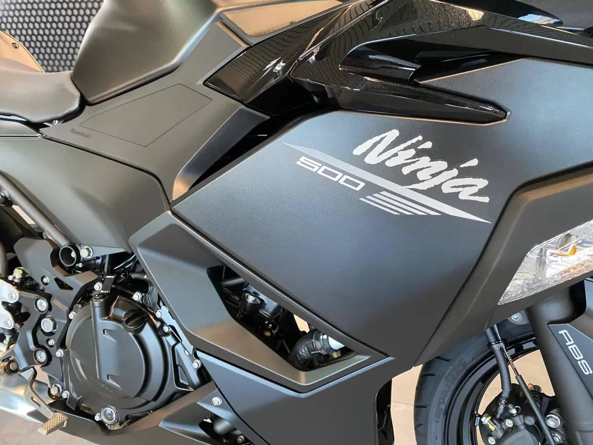 Kawasaki Ninja 500 (2024 - 26) (3)