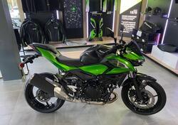Kawasaki Z 500 (2024 - 26) nuova