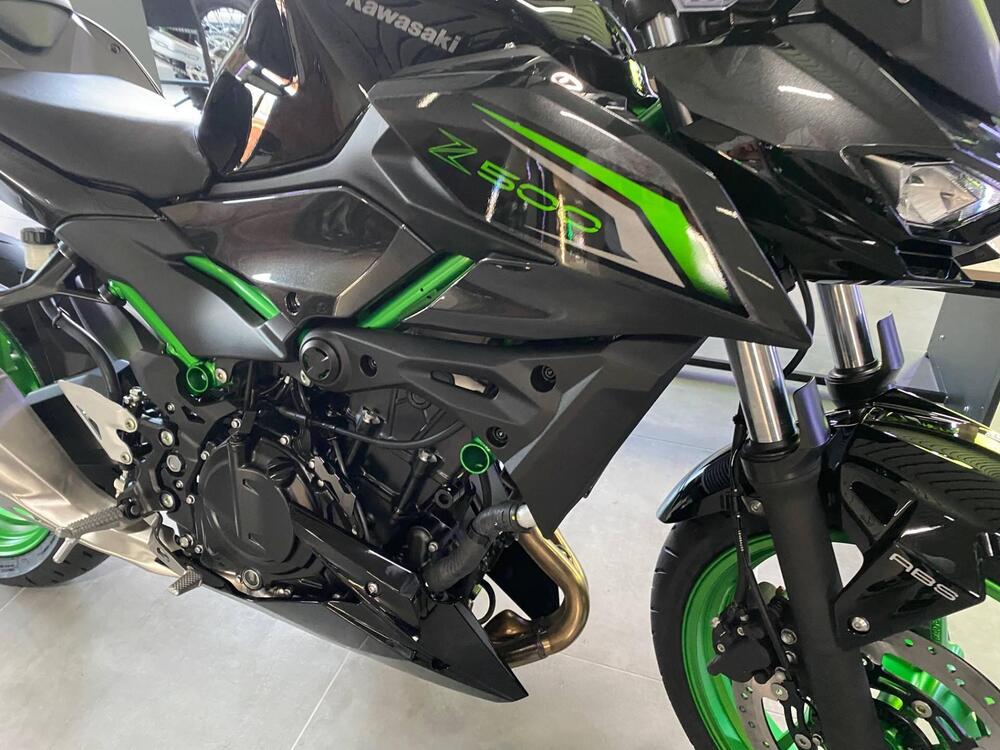 Kawasaki Z 500 SE (2024 - 26) (2)