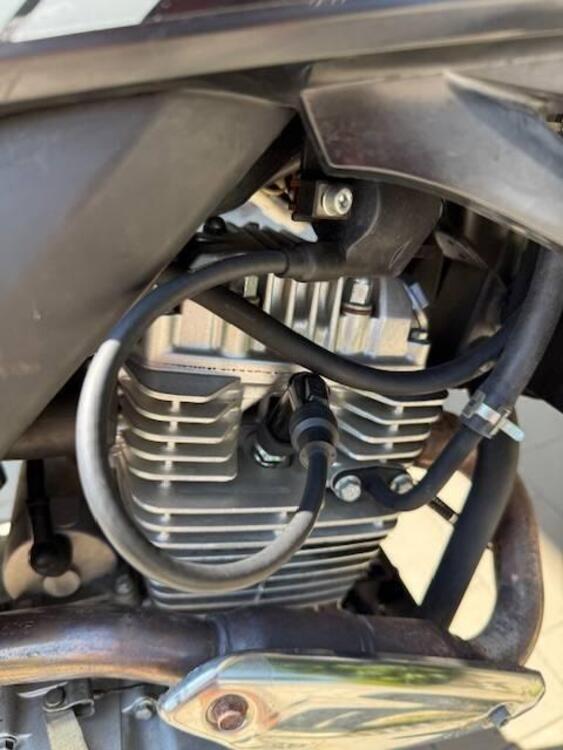 Rieju Marathon 125 Motard A.C. (2017 - 20) (3)