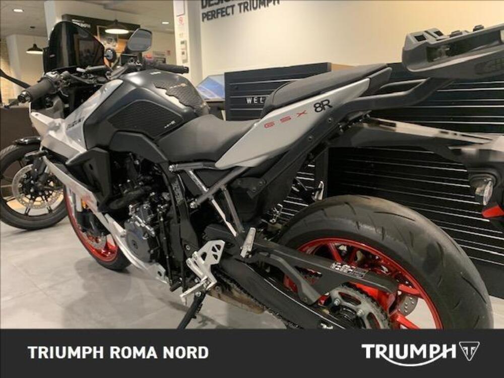 Suzuki GSX-8R (2024 - 25) (3)