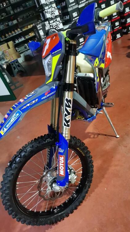 Sherco 300 SEF Factory (2024) (2)