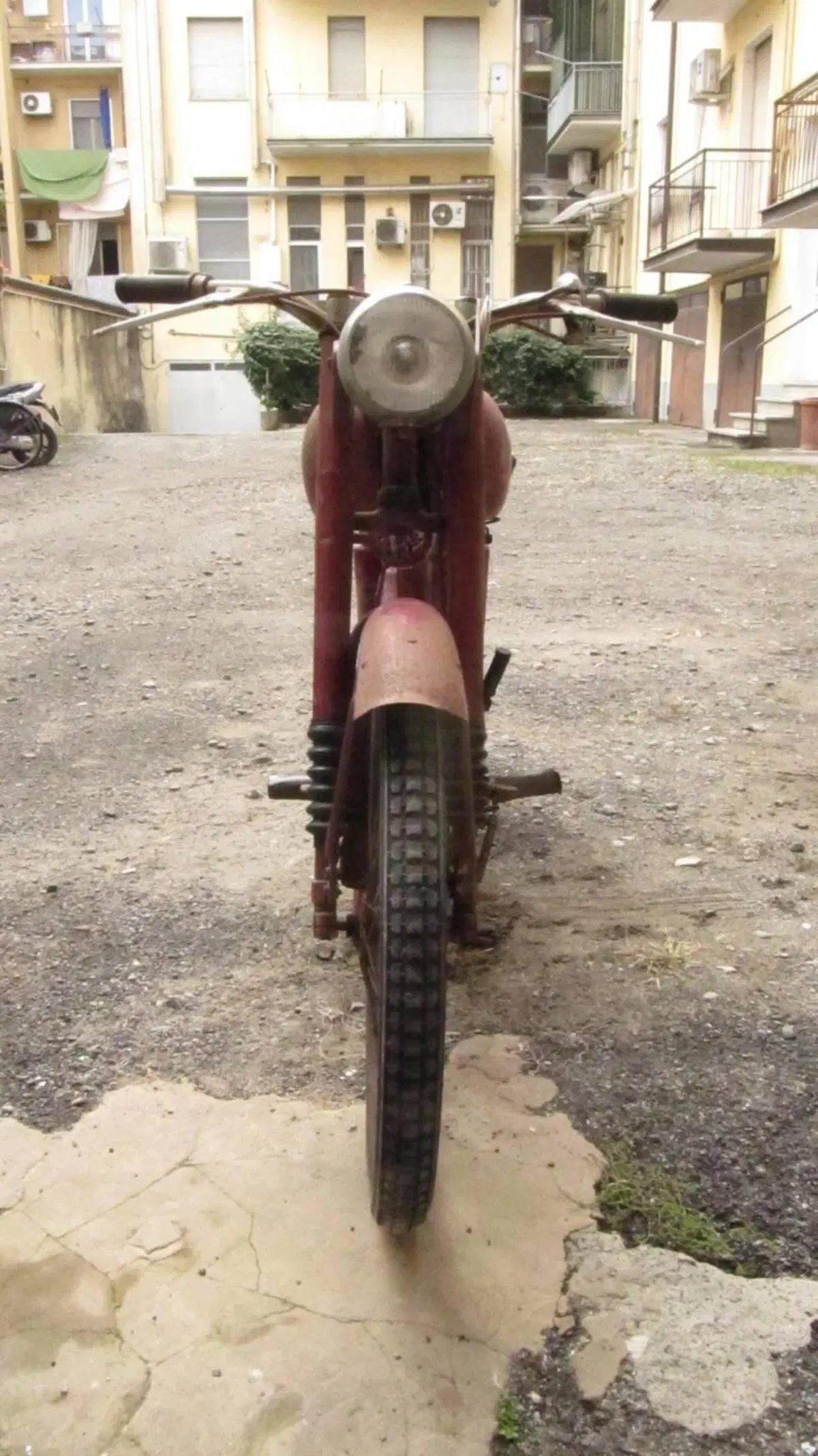 Ducati T 65 (4)