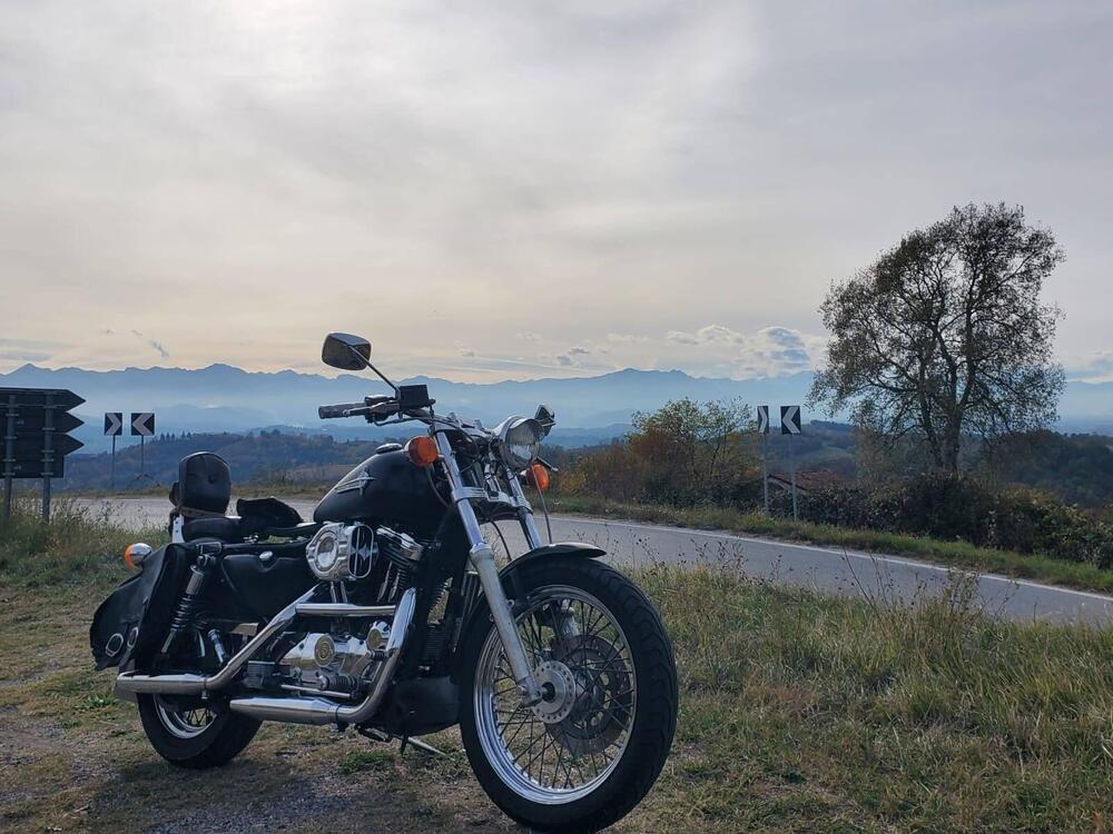 Harley-Davidson 1200 (1988 - 96) - HLX