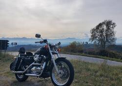 Harley-Davidson 1200 (1988 - 96) - HLX usata