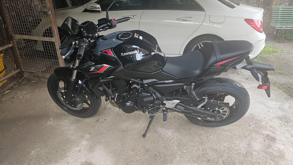 Kawasaki Z 650 (2025 - 26)