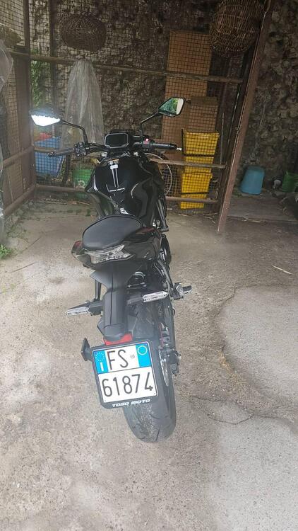 Kawasaki Z 650 (2025 - 26) (2)