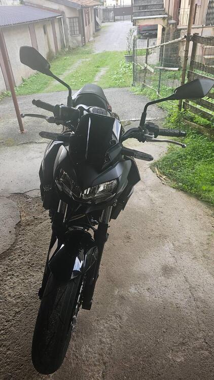 Kawasaki Z 650 (2025 - 26) (3)