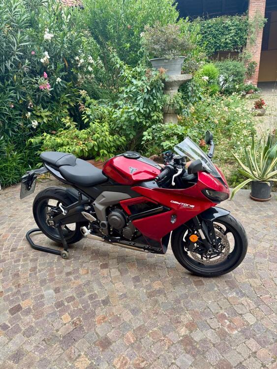 Triumph Daytona 660 (2024 - 25)