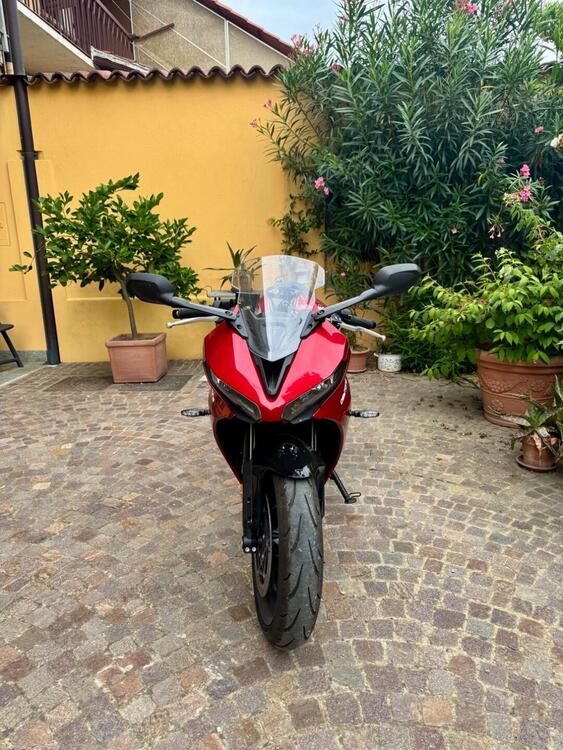 Triumph Daytona 660 (2024 - 25) (2)