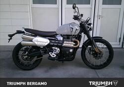 Triumph Scrambler 1200 X (2024 - 25) usata