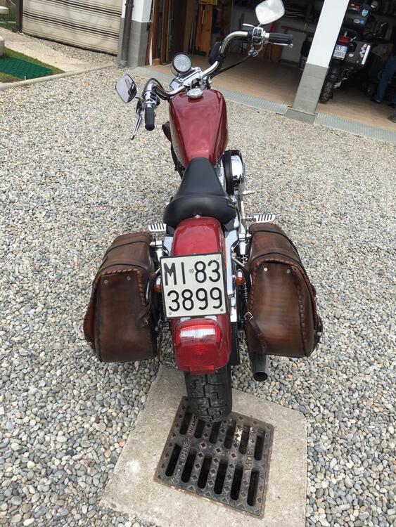 Harley-Davidson Sposter 883 (2)