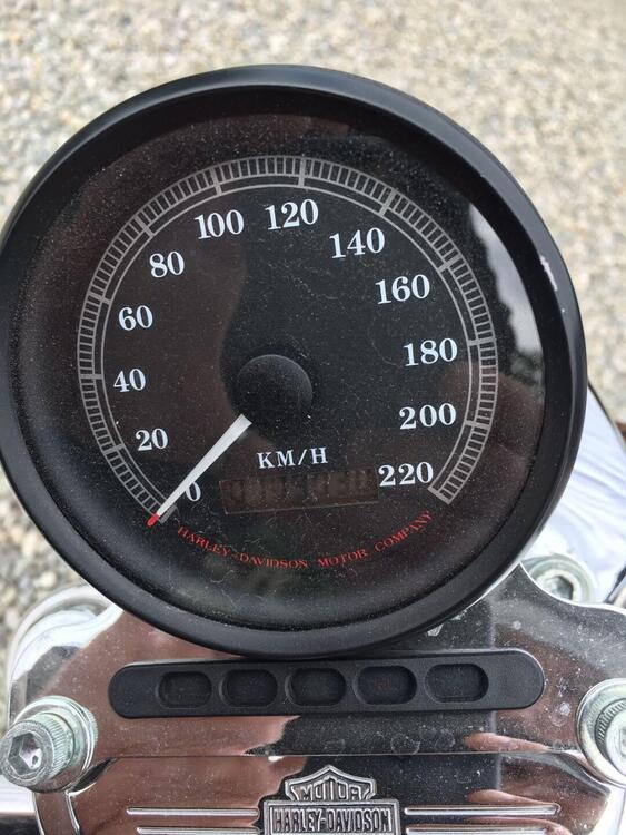 Harley-Davidson Sposter 883 (3)