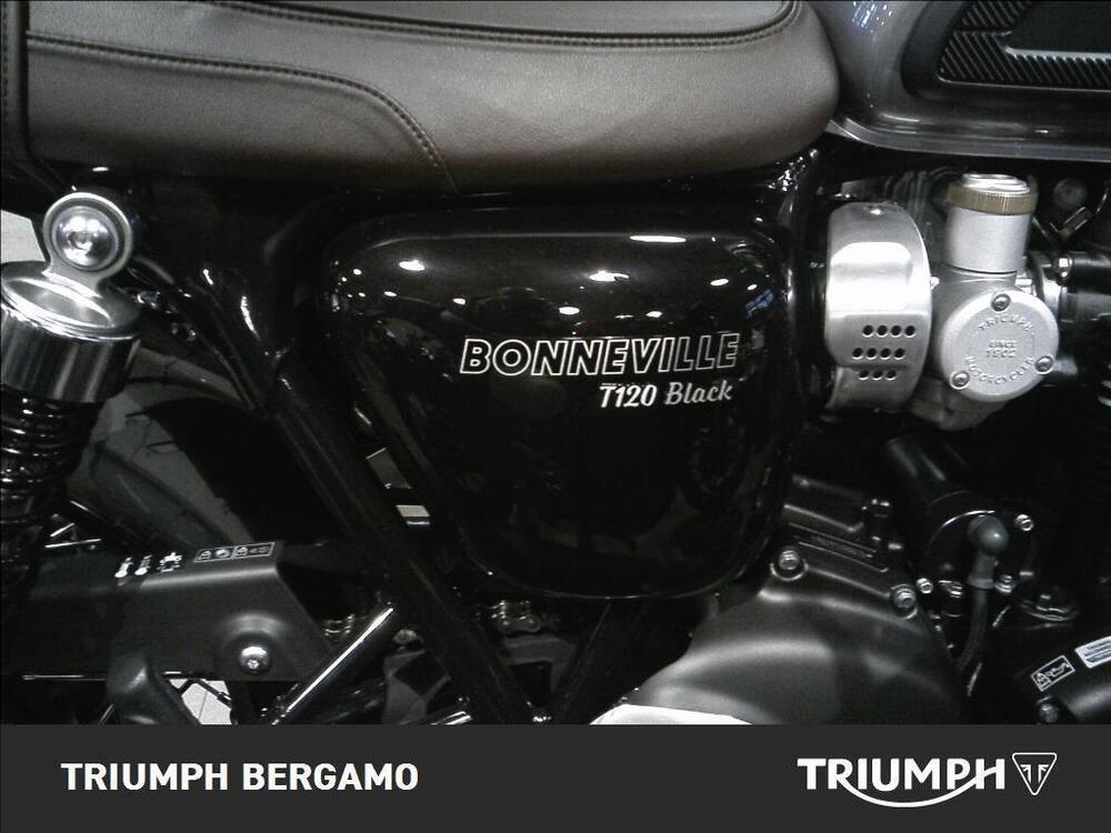 Triumph Bonneville T120 (2021 - 25) (2)