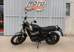 Royal Enfield Bear 650 (2025) usata