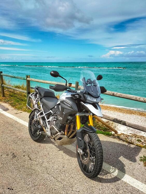 Triumph Tiger 1200 Rally Pro (2022 - 23) (3)
