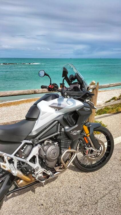Triumph Tiger 1200 Rally Pro (2022 - 23) (4)