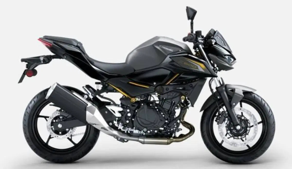 Kawasaki Z 500 (2024 - 26) (4)
