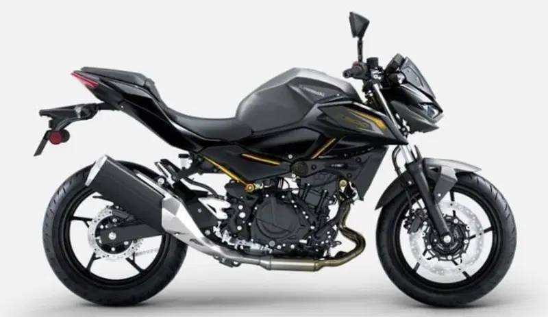 Kawasaki Z 500 (2024 - 26) (4)