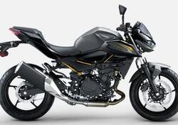 Kawasaki Z 500 (2024 - 26) nuova