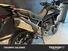 Triumph Tiger 900 Rally Pro (2020 - 23) (7)