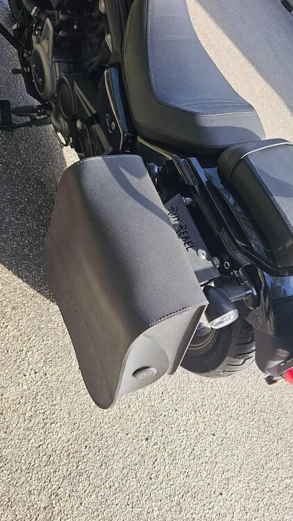 Harley-Davidson Nightster (2023 - 25) (4)