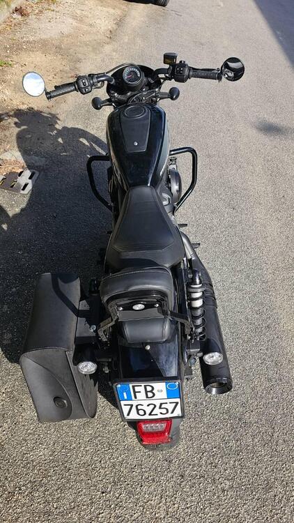 Harley-Davidson Nightster (2023 - 25) (5)