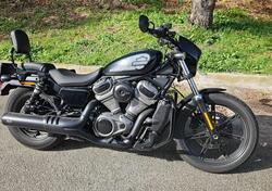 Harley-Davidson Nightster (2023 - 25) usata