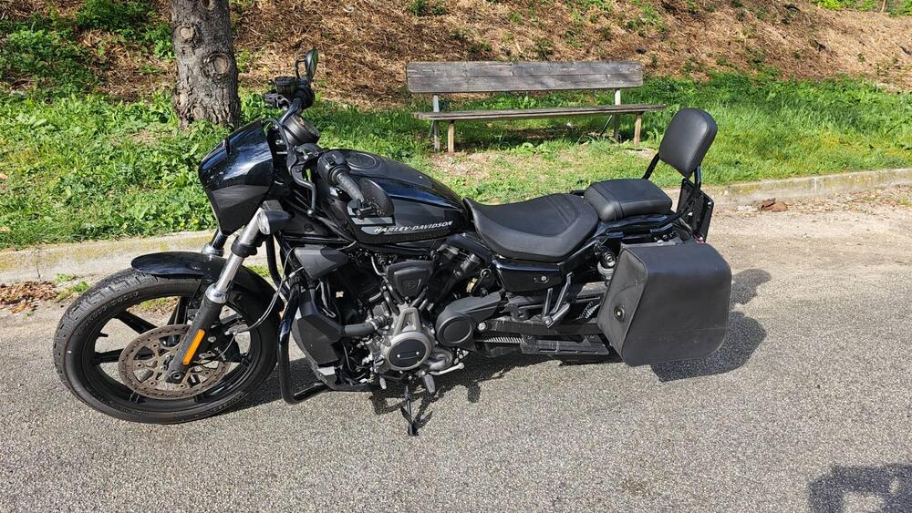 Harley-Davidson Nightster (2023 - 25) (2)