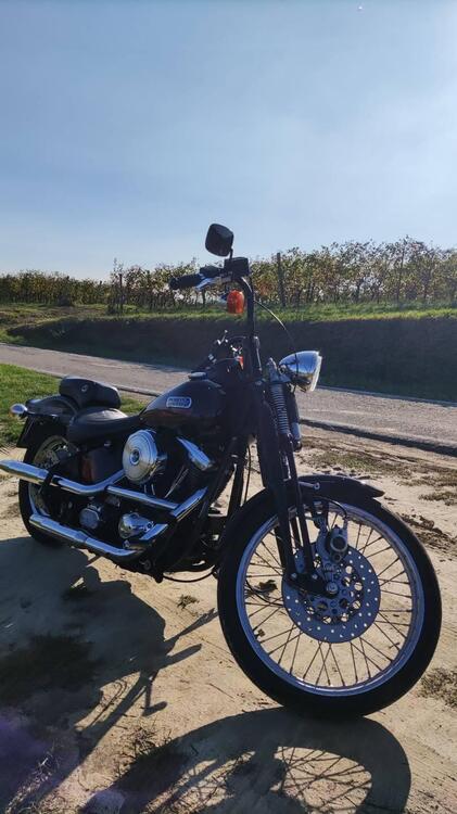 Harley-Davidson 1340 Bad Boy (1995 - 99) (3)