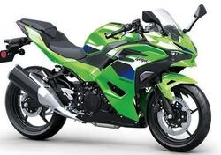Kawasaki Ninja 500 SE (2024 - 26) nuova