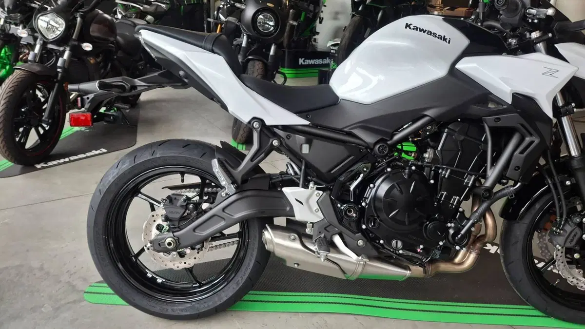 Kawasaki Z 650 (2025 - 26) (4)