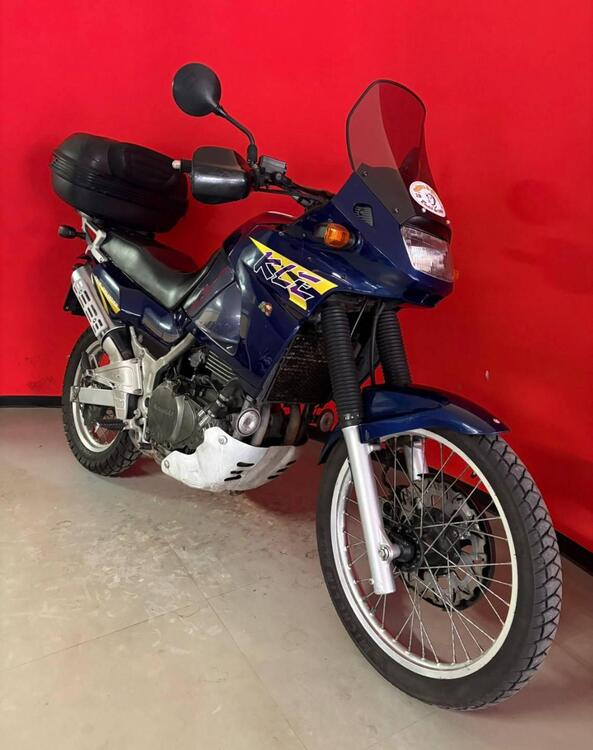 Kawasaki KLE 500 (2001 - 04) (2)