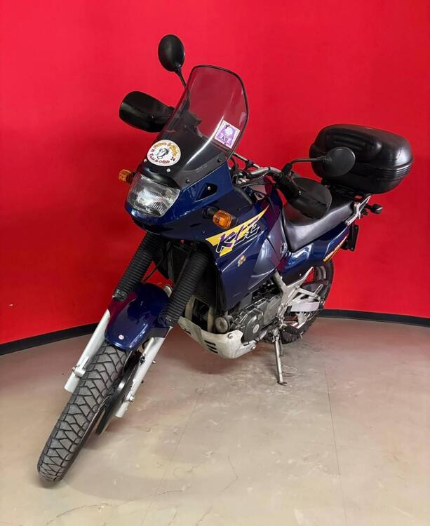 Kawasaki KLE 500 (2001 - 04) (4)