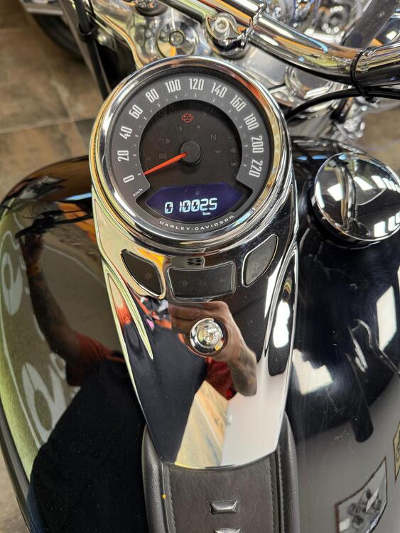 Harley-Davidson Heritage Classic (2021 - 24) (2)