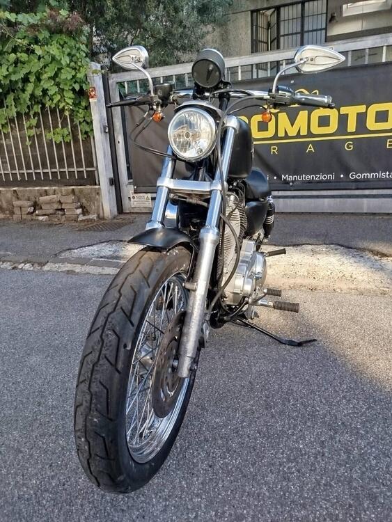 Harley-Davidson 883 (2008 - 09) - XL (3)