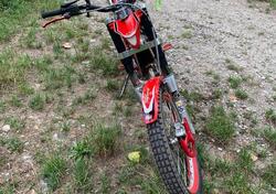 GASGAS TXT 300 PRO (2005) usata