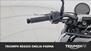 Triumph Trident 660 (2025) (11)