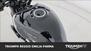 Triumph Trident 660 (2025) (12)