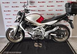 Suzuki Gladius 650 SFV (2009 - 15) usata