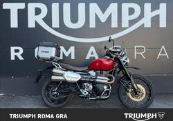 Triumph Scrambler 1200 X (2024 - 25) usata