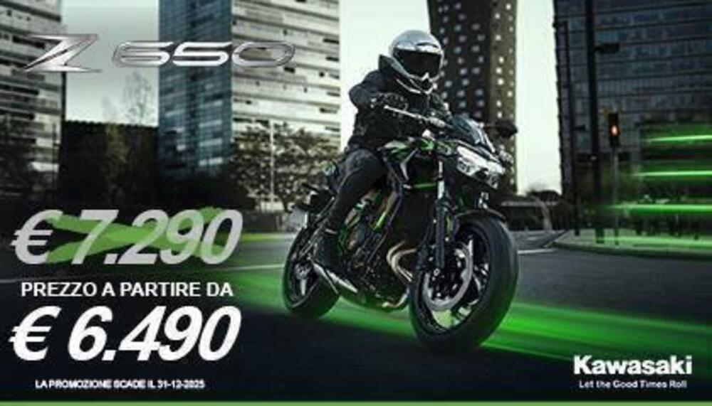 Kawasaki Z 650 (2025 - 26)