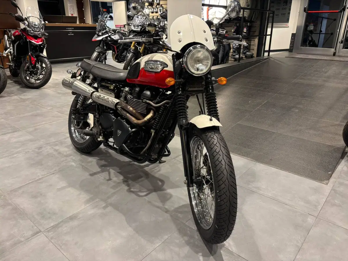 Triumph Scrambler (2006 - 17) (4)