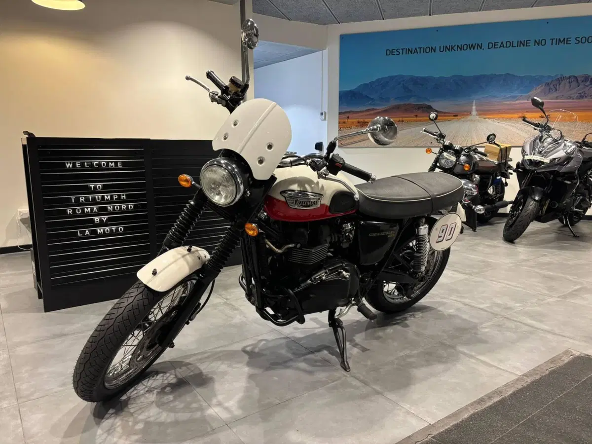 Triumph Scrambler (2006 - 17) (8)