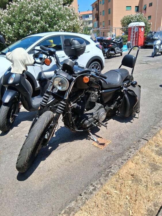 Harley-Davidson 883 Iron (2014 - 16) - XL 883N