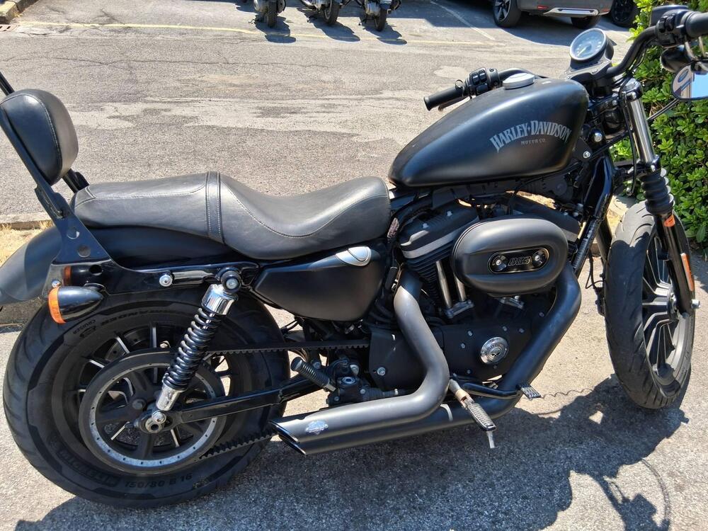Harley-Davidson 883 Iron (2014 - 16) - XL 883N (3)