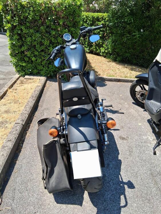 Harley-Davidson 883 Iron (2014 - 16) - XL 883N (4)