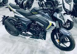 Morbidelli F125 (2025) nuova