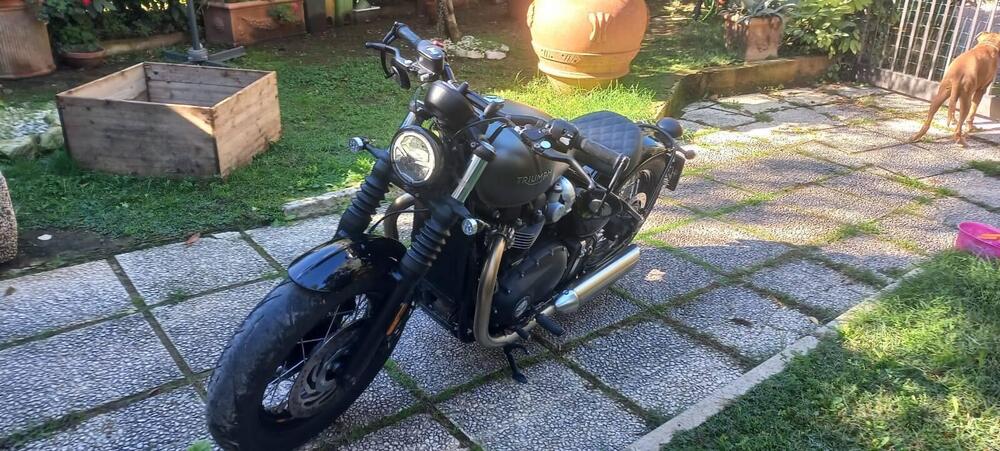 Triumph Bonneville Bobber 1200 Gold Line Edition (2022)